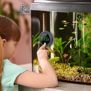 Fish Tank Digital Thermometer